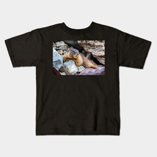 Marmot Kids T-Shirt by gdb2